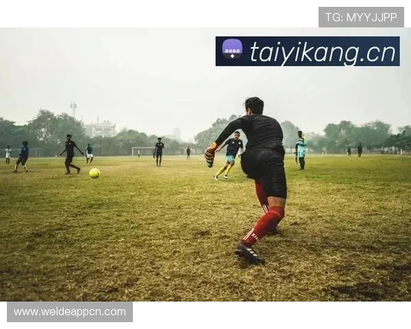 Kaiyun开云国际游戏种类丰富多样满足不同玩家的多元娱乐需求